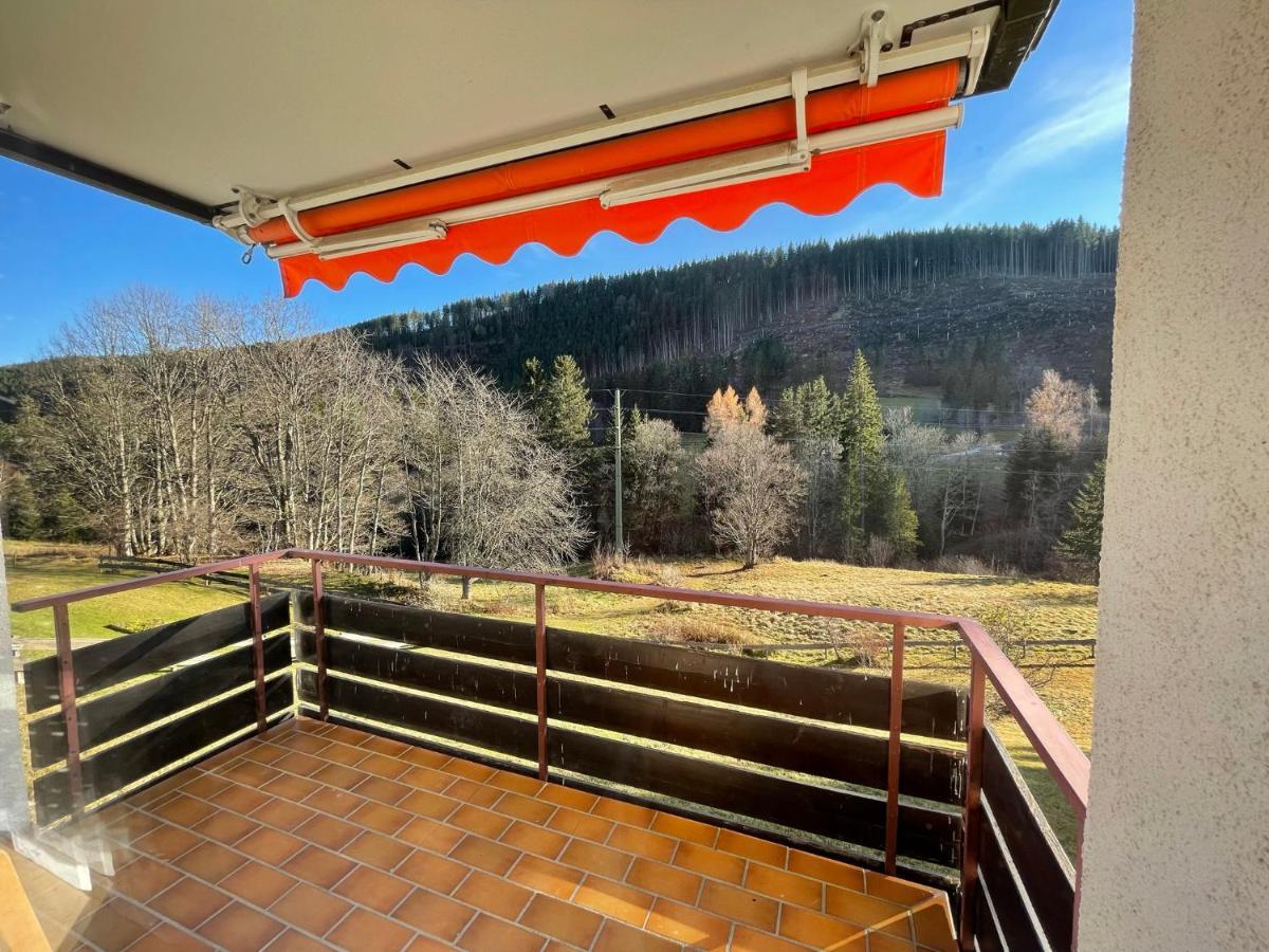 Apartment Am Wasserfall Mit Sauna & Top-Lage Feldberg  Exterior photo